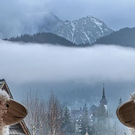 Szymoszkowa Ostoja - Basen, Sauna, Jacuzzi Odkryj- Zakopane